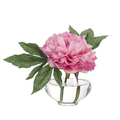 Ndi Real-touch Peony, Pink, Glass Vase, 11wx7dx7h