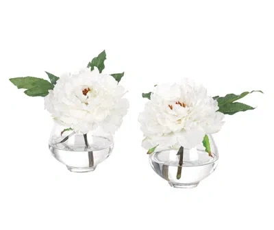Ndi Real-touch Peony, White, Glass Vase, Set Of 2, 9wx9dx7h