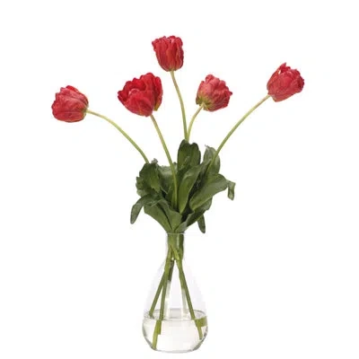 Ndi Real-touch Tulip, Red, Glass Vase, 22wx22dx29h