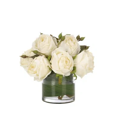 Ndi Rose, Cream White, Glass Cylinder, 9wx9dx7h