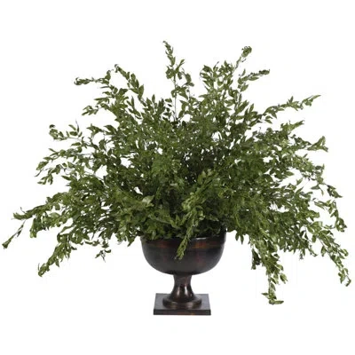 Ndi Smilex Branch, Green, Bronze Urn, 63wx63dx51h