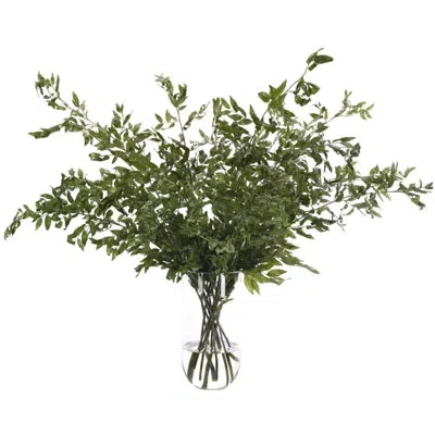 Ndi Smilex, Green, Glass Vase, 49wx49dx48h