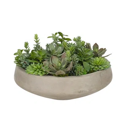 Ndi Succulent, Green Burg, Bowl Con Finish ,17wx17dx10h