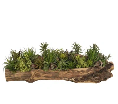 Ndi Succulent, Green Mauve, Wood Planter, 28wx10dx10h
