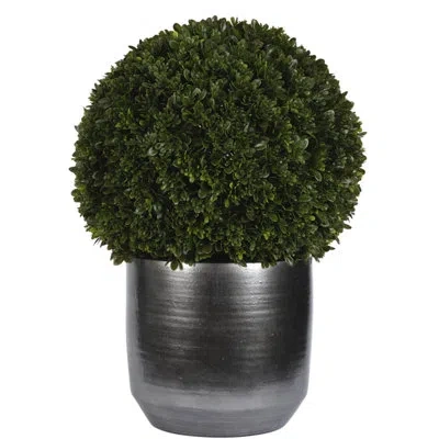 Ndi Uv Rated | Boxwood Ball, Ceramic Pot, 24wx24dx33h In Green