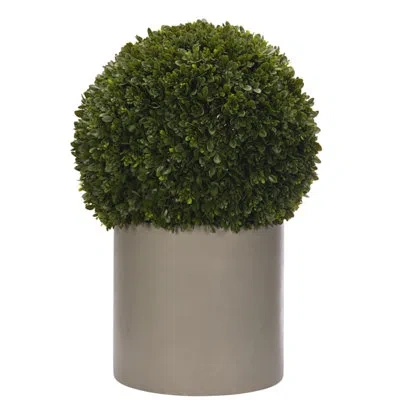 Ndi Uv Rated | Boxwood Ball, Con Planter, 22wx22dx33h In Green