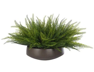 Ndi Uv Rated | Fern Boston, Concrete Bowl, 30wx25dx15h In Green
