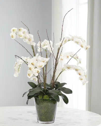 Ndi White Phalaenopsis Orchids 44" Faux Floral Arrangement In A Moss Glass Vase