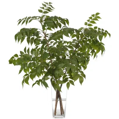Ndi Wisteria Leaf, Green, Glass Vase, 30wx26dx35h