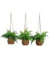 Nearly Natural 10in. Uv Resistant Artificial Boston Fern In Hangi