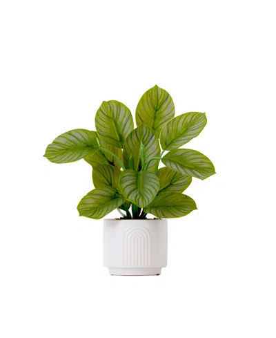 Nearly Natural 12in Artificial Calathea Plant With Decorative Planter In Green