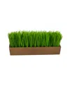 Nearly Natural 12" Grass Artificial Plant In Decorative Planter In Green