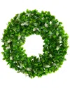Nearly Natural Jasmine Artificial Wreath, 13" In Green