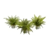 Nearly Natural 14'' Assorted Ferns With Planter Artificial Plant, Set Of 3 In Green