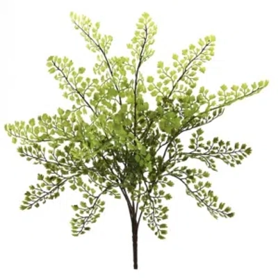 Nearly Natural 15" Maiden Hair Artificial Plant, Set Of 12 In Green