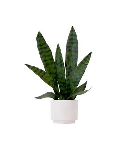 Nearly Natural 16" Artificial Sansevieria Snake Plant With Decorative Planter In Green