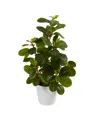 Nearly Natural 16" Peperomia Artificial Plant In Decorative Planter In Green