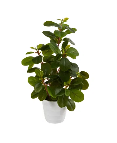 Nearly Natural 16" Peperomia Artificial Plant In Decorative Planter In Green