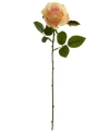 Nearly Natural 18" Rose Artificial Flower, Set Of 24 In Peach