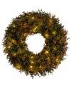 Nearly Natural 18in. Pre-lit Autumn Boxwood Artificial Fall Wreath In Green