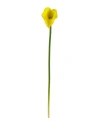 Nearly Natural 19.5" Calla Lily Artificial Flower, Set Of 12 In Yellow