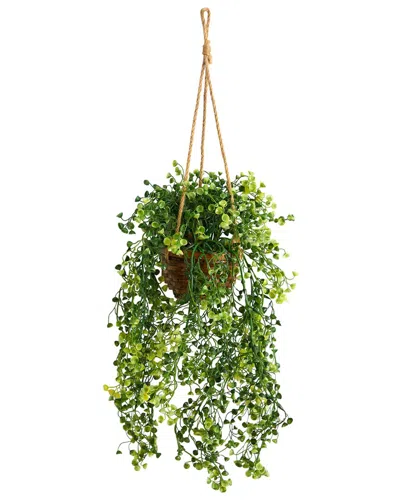 Nearly Natural 20in Baby Tear Artificial Plant In Hanging Basket In Green