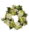 Nearly Natural 22" Hydrangea Wreath In Cream,green
