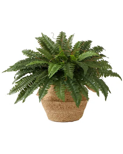 Nearly Natural 23in Artificial Boston Fern Plant With Handmade Basket Diy Kit In Green