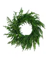 Nearly Natural 24" Artificial Touch Norfolk Island Pine Wreath With Natural Look In Green