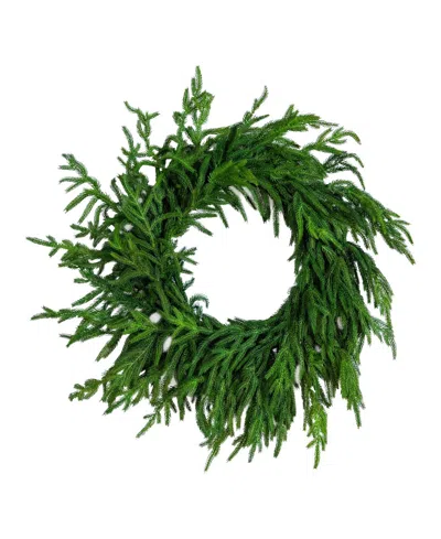 Nearly Natural 24" Artificial Touch Norfolk Island Pine Wreath With Natural Look In Green