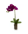 NEARLY NATURAL 24" ORCHID PHALAENOPSIS ARTIFICIAL ARRANGEMENT IN VASE