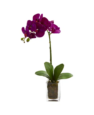 Nearly Natural Orchid Phalaenopsis Artificial Arrangement In Vase In Purple