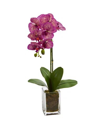 NEARLY NATURAL 24" ORCHID PHALAENOPSIS ARTIFICIAL ARRANGEMENT IN VASE