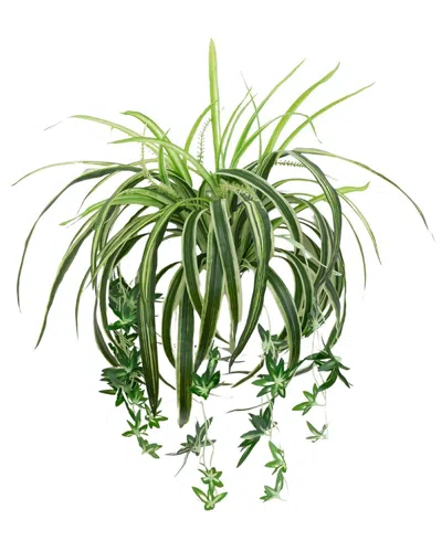 Nearly Natural 24in Uv-resistant Artificial Spider Bush (indoor/outdoor) - Set Of 3 In Green