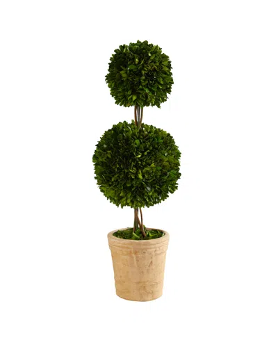 Nearly Natural 2.5ft. Preserved Boxwood Double Ball Topiary Tree In Decorative Planter In Green
