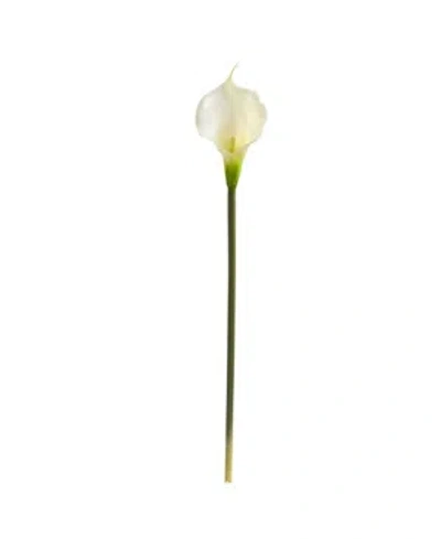 Nearly Natural 28" Calla Lily Artificial Flower, Set Of 12 In Cream