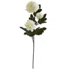 Nearly Natural 29-in. Chrysanthemum Artificial Flower, Set Of 12 In Cream