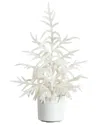 Nearly Natural 2ft. Artificial Real Touch White Norfolk Island Pine Christmas  Tree In White