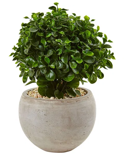 Nearly Natural 2ft Eucalyptus Silk Plant In Sand Colored Bowl: Uv-resistant  (indoor/outdoor) In Green