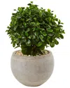 Nearly Natural 2ft Eucalyptus Silk Plant In Sand Colored Bowl: Uv-resistant  (indoor/outdoor) In Green