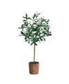 Shop Nearly Natural 31" Olive Artificial Tree In Green