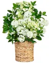 Nearly Natural 31in Artificial Mixed Flower & Hydrangea Arrangement In Hyacinth Weave Basket In Green