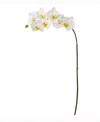 Nearly Natural 32in. Phalaenopsis Orchid Artificial Flower Set Of 6 In White