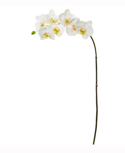 Nearly Natural 32in. Phalaenopsis Orchid Artificial Flower Set Of 6 In White