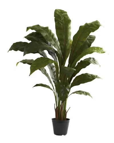 Nearly Natural 3.5ft Birds Nest Plant