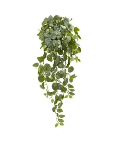 Nearly Natural 36" Fittonia Hanging Bush Artificial Plant (set Of 2) (real Touch) In Green