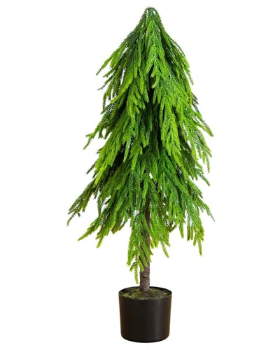NEARLY NATURAL NEARLY NATURAL 3FT. ARTIFICIAL REAL TOUCH DOWN SWEPT NORFOLK PINE TREE