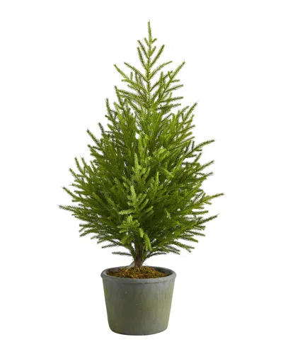 NEARLY NATURAL NEARLY NATURAL 3FT NORFOLK ISLAND PINE NATURAL LOOK ARTIFICIAL TREE