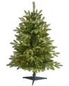 Nearly Natural 3ft Snowed Grand Teton Fir Artificial Christmas Tree In Green