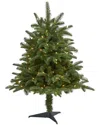 Nearly Natural 3ft. Washington Fir Artificial Christmas Tree With 50 Clear Lights In Green
